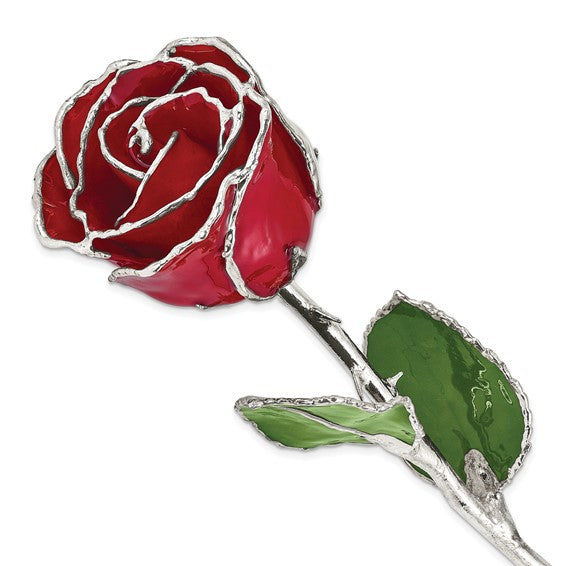 Red Lacquer Dipped Silver Trimmed Real Rose GM16743